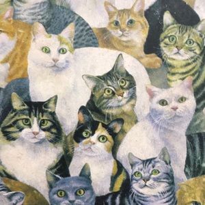 Meet your Posher, Jay